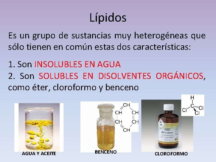 Lípidos Es un grupo de sustancias muy heterogéneas que sólo tienen en común estas