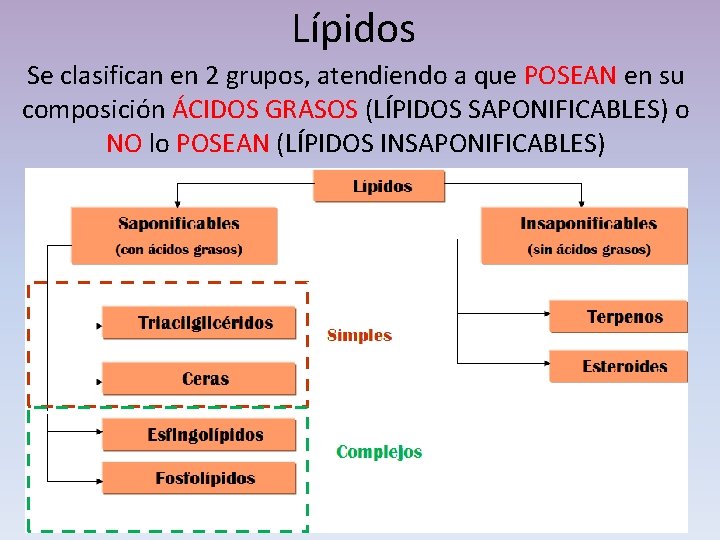 Lípidos Se clasifican en 2 grupos, atendiendo a que POSEAN en su composición ÁCIDOS