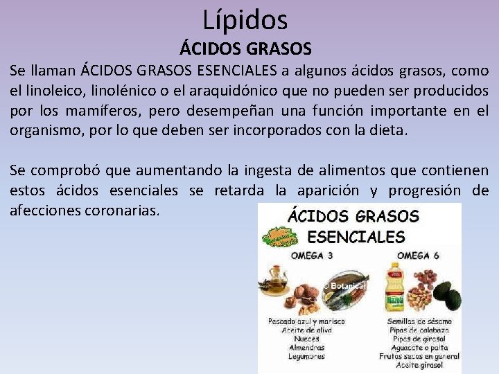 Lípidos ÁCIDOS GRASOS Se llaman ÁCIDOS GRASOS ESENCIALES a algunos ácidos grasos, como el