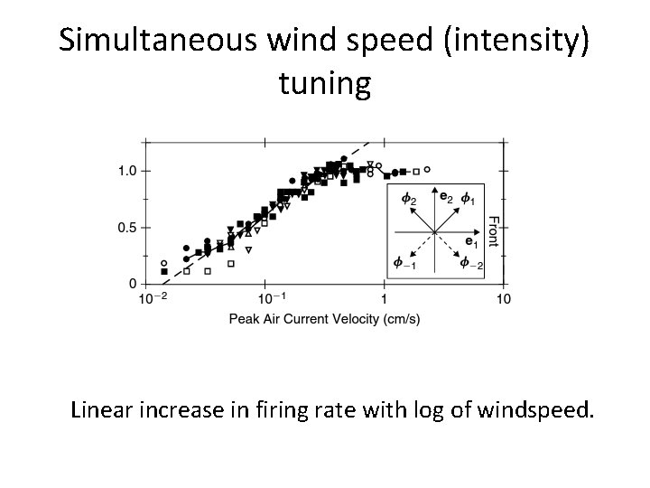 Simultaneous wind speed (intensity) tuning Linear increase in firing rate with log of windspeed.