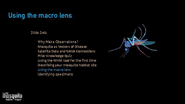 Using the macro lens Slide Sets • 1. 2. 3. 4. 5. 6. 7.