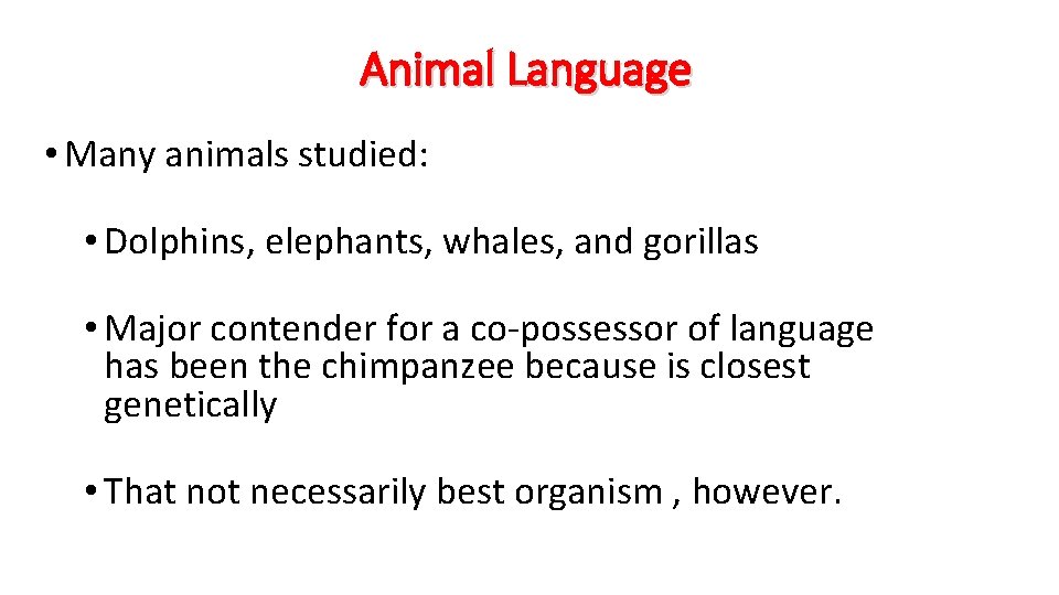 Animal Language • Many animals studied: • Dolphins, elephants, whales, and gorillas • Major