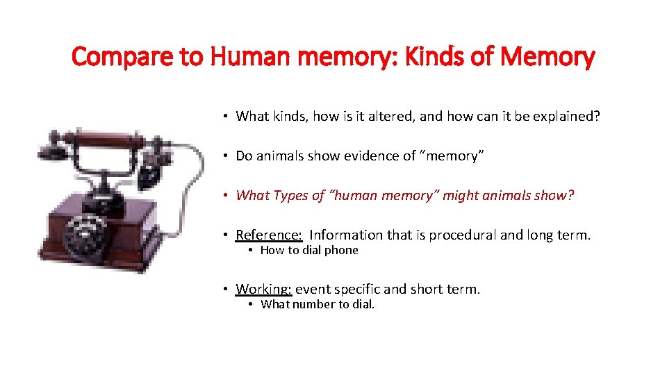 Compare to Human memory: Kinds of Memory • What kinds, how is it altered,