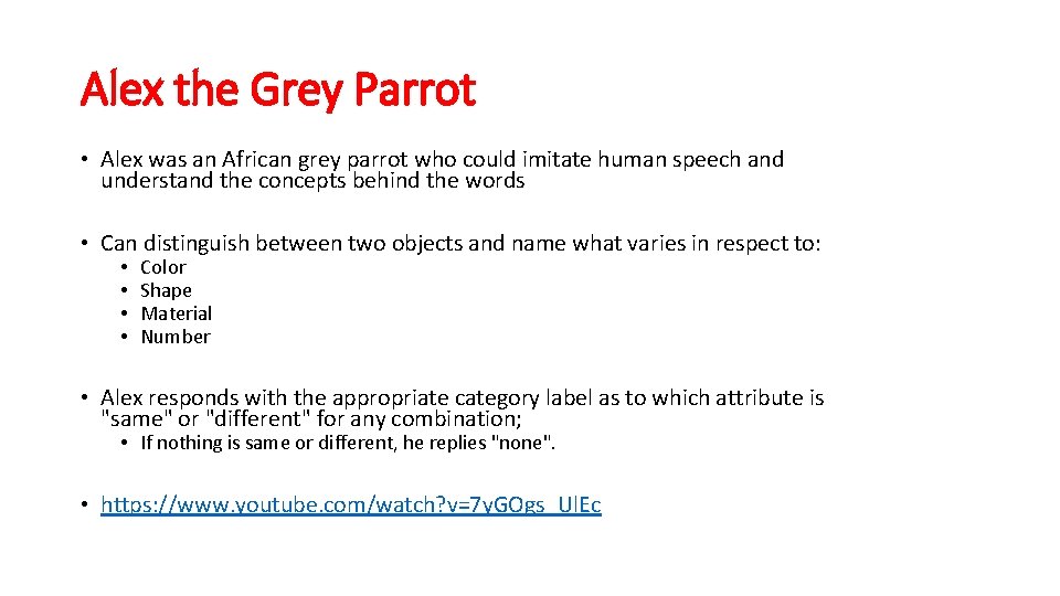 Alex the Grey Parrot • Alex was an African grey parrot who could imitate