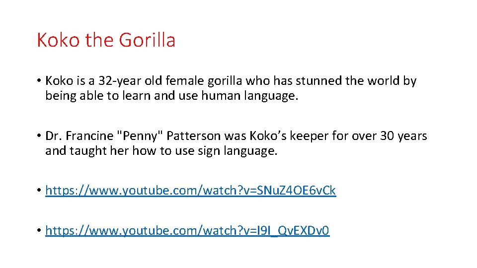 Koko the Gorilla • Koko is a 32 -year old female gorilla who has