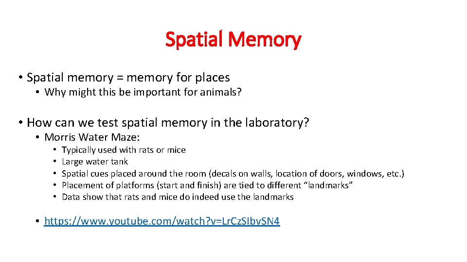 Spatial Memory • Spatial memory = memory for places • Why might this be