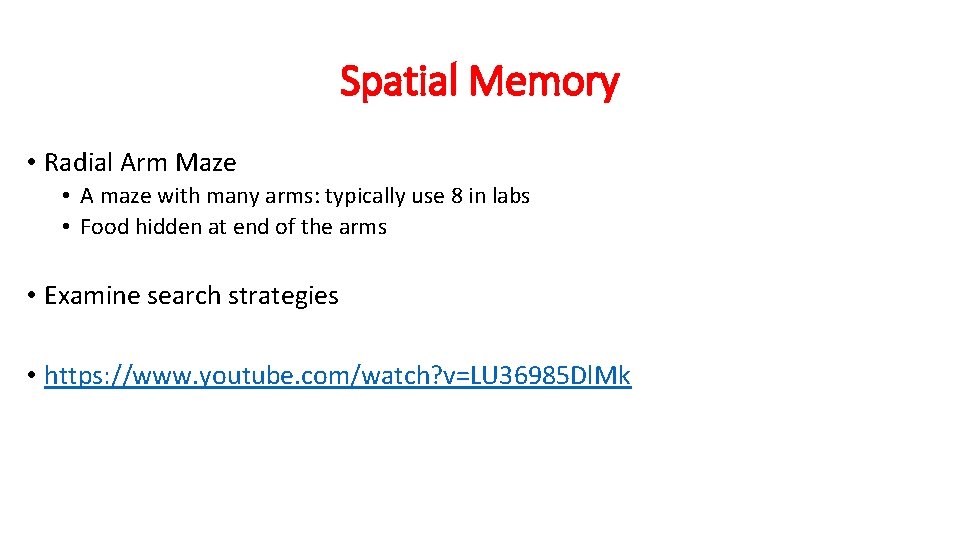 Spatial Memory • Radial Arm Maze • A maze with many arms: typically use