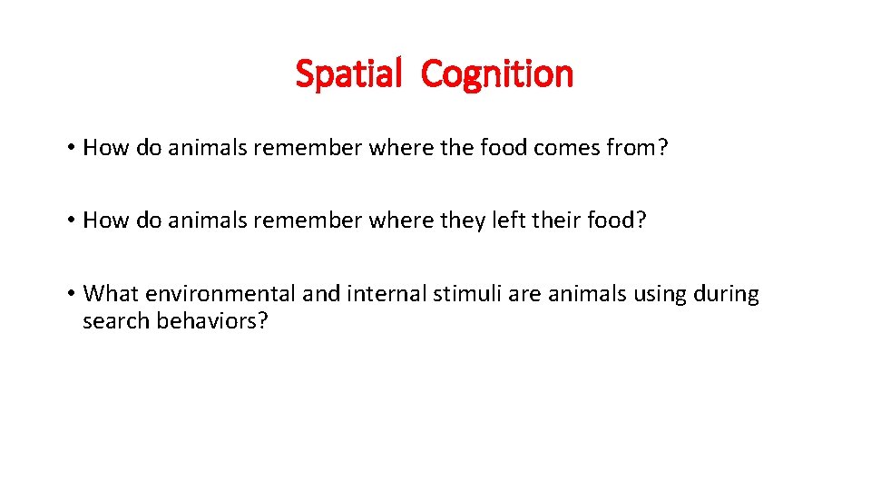 Spatial Cognition • How do animals remember where the food comes from? • How