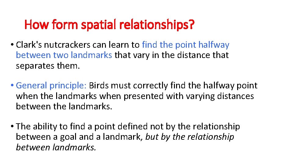 How form spatial relationships? • Clark's nutcrackers can learn to find the point halfway
