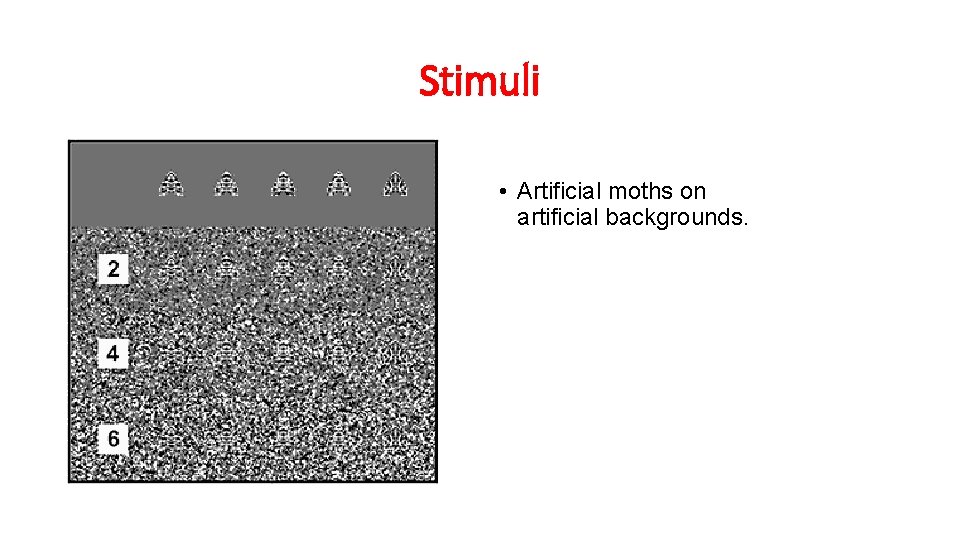 Stimuli • Artificial moths on artificial backgrounds. 
