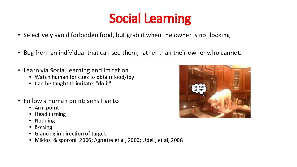 Social Learning • Selectively avoid forbidden food, but grab it when the owner is