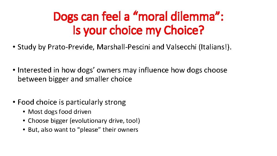 Dogs can feel a “moral dilemma”: Is your choice my Choice? • Study by
