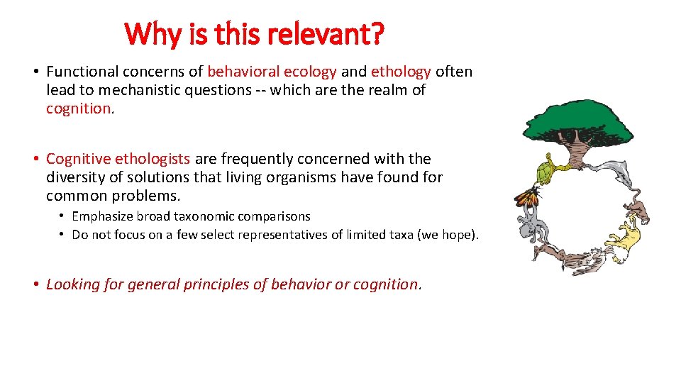 Why is this relevant? • Functional concerns of behavioral ecology and ethology often lead