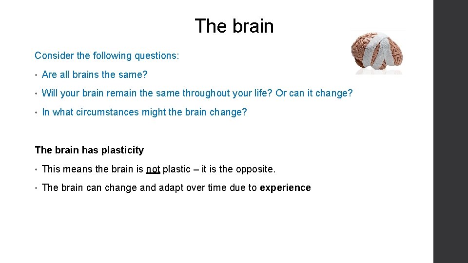 The brain Consider the following questions: • Are all brains the same? • Will