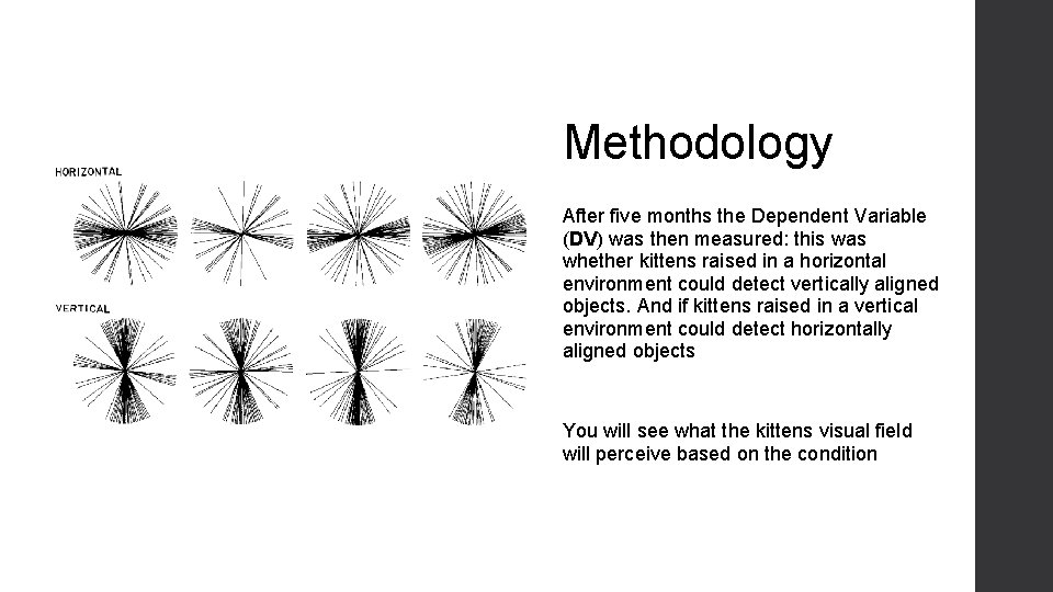 Methodology After five months the Dependent Variable (DV) was then measured: this was whether