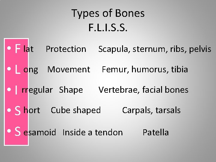 Types of Bones F. L. I. S. S. • F lat Protection Scapula, sternum,