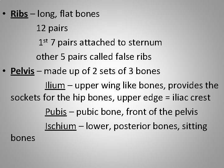  • Ribs – long, flat bones 12 pairs 1 st 7 pairs attached