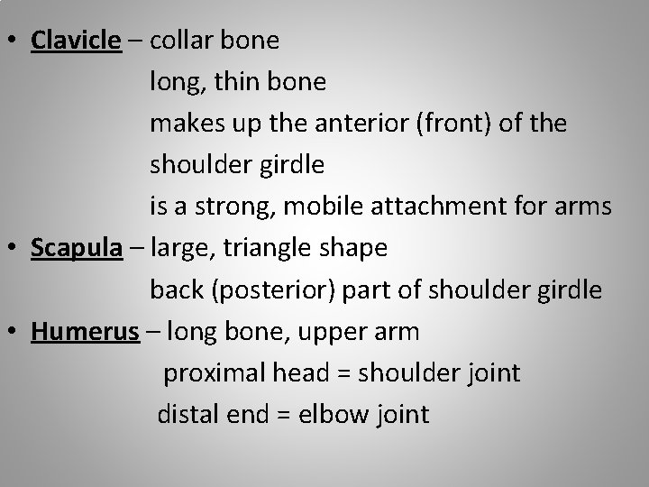  • Clavicle – collar bone long, thin bone makes up the anterior (front)