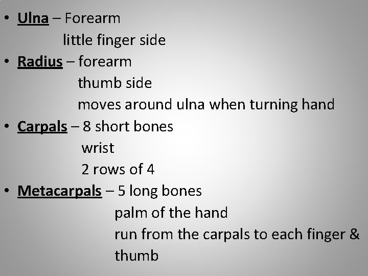  • Ulna – Forearm little finger side • Radius – forearm thumb side