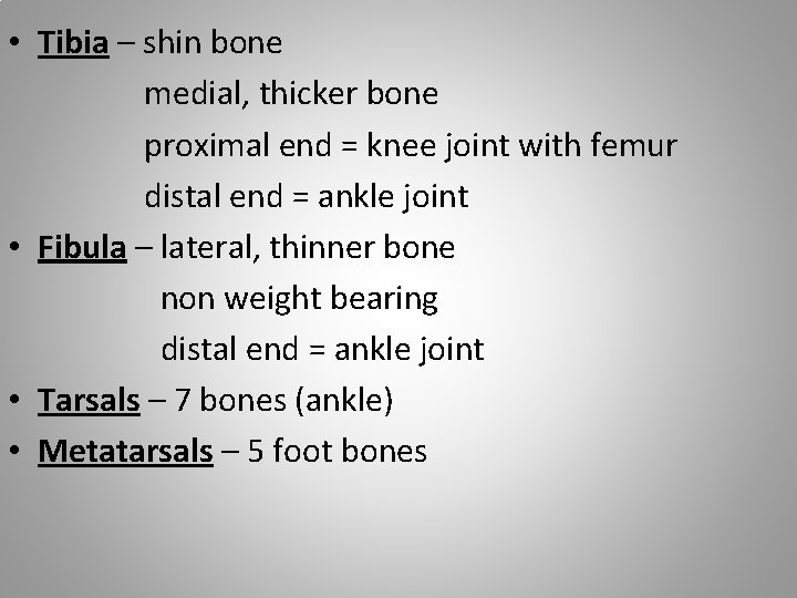  • Tibia – shin bone medial, thicker bone proximal end = knee joint