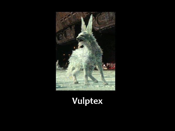 Vulptex 
