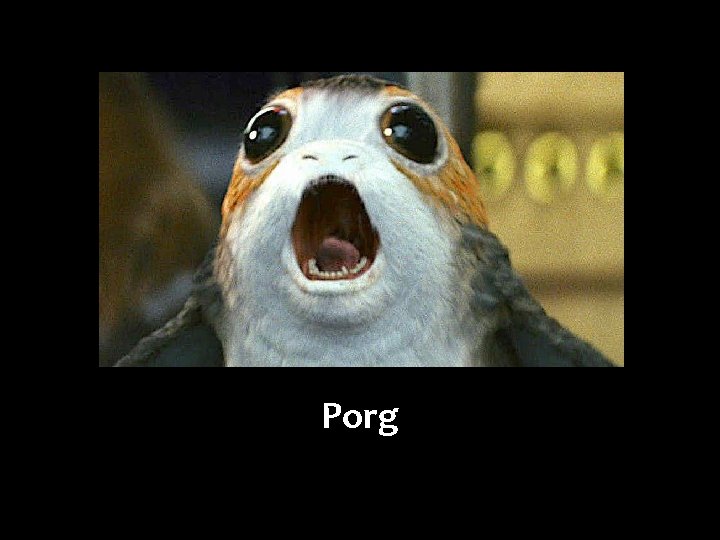 Porg 