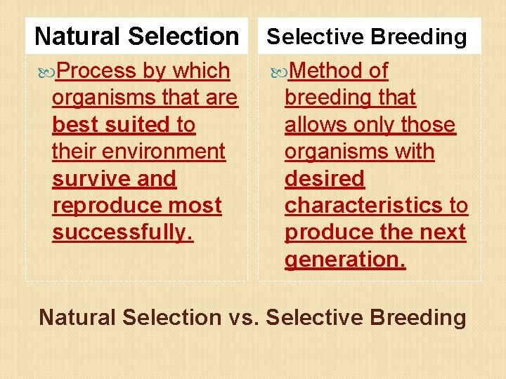 Natural Selection Selective Breeding Process Method by which organisms that are best suited to