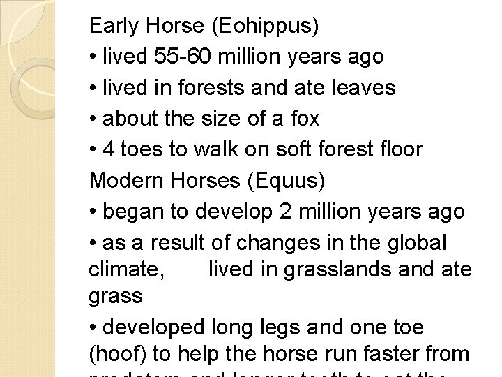 Early Horse (Eohippus) • lived 55 -60 million years ago • lived in forests