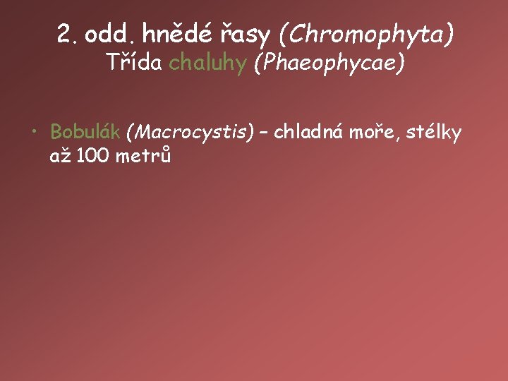 2. odd. hnědé řasy (Chromophyta) Třída chaluhy (Phaeophycae) • Bobulák (Macrocystis) – chladná moře,