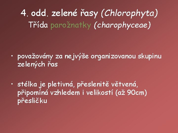 4. odd. zelené řasy (Chlorophyta) Třída parožnatky (charophyceae) • považovány za nejvýše organizovanou skupinu
