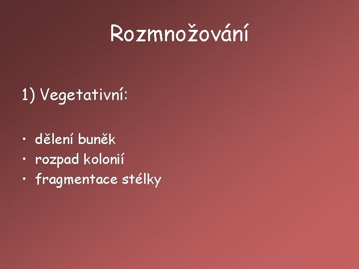 Rozmnožování 1) Vegetativní: • dělení buněk • rozpad kolonií • fragmentace stélky 