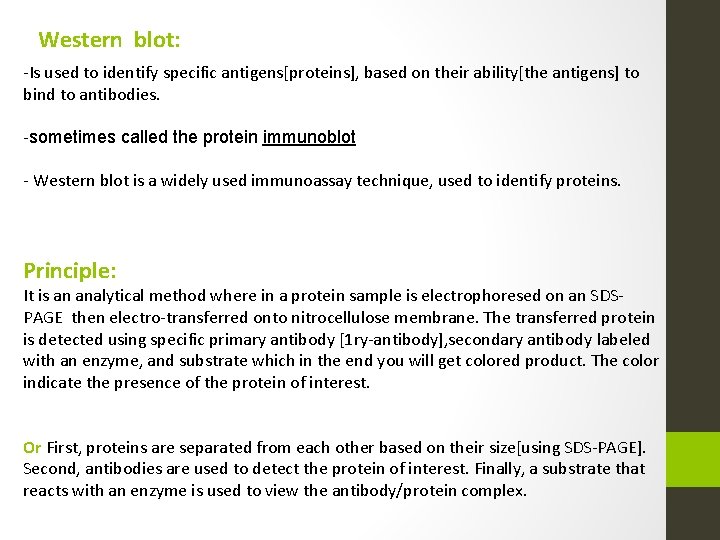 Western blot: -Is used to identify specific antigens[proteins], based on their ability[the antigens] to