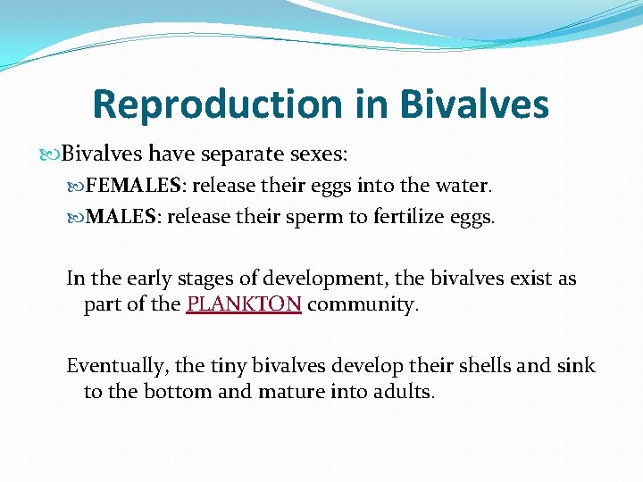 Reproduction in Bivalves have separate sexes: FEMALES: release their eggs into the water. MALES: