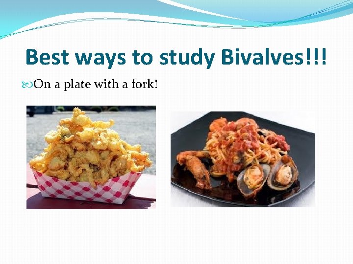 Best ways to study Bivalves!!! On a plate with a fork! 