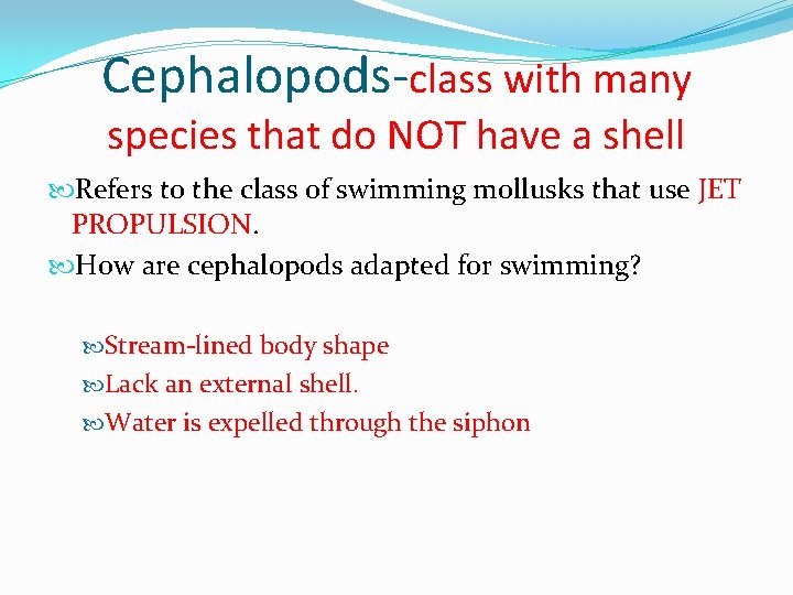 Cephalopods-class with many species that do NOT have a shell Refers to the class