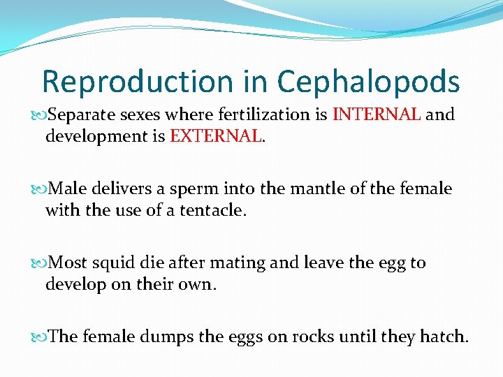 Reproduction in Cephalopods Separate sexes where fertilization is INTERNAL and development is EXTERNAL. Male