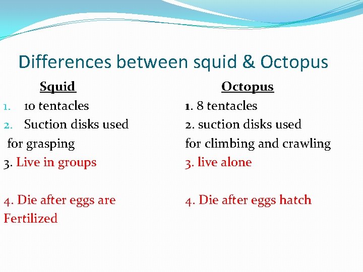 Differences between squid & Octopus Squid 1. 10 tentacles 2. Suction disks used for