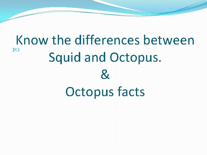 Know the differences between Squid and Octopus. & Octopus facts 