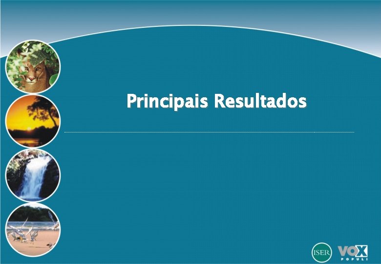 Principais Resultados 