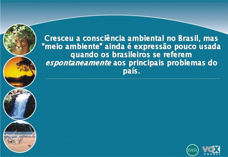 Cresceu a consciência ambiental no Brasil, mas “meio ambiente” ainda é expressão pouco usada