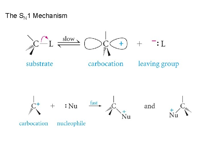 The SN 1 Mechanism The SN 1 Mechanism