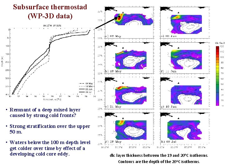 Subsurface thermostad (WP-3 D data) • Remnant of a deep mixed layer caused by