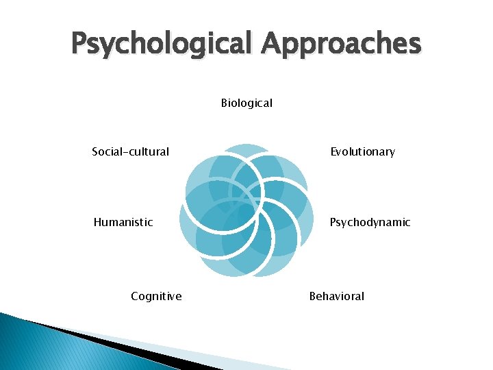 Psychological Approaches Biological Social-cultural Evolutionary Humanistic Psychodynamic Cognitive Behavioral 