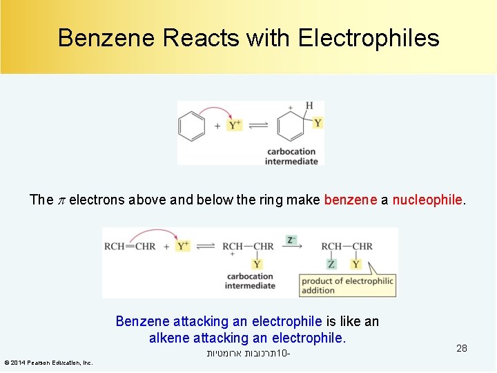 Benzene Reacts with Electrophiles The electrons above and below the ring make benzene a