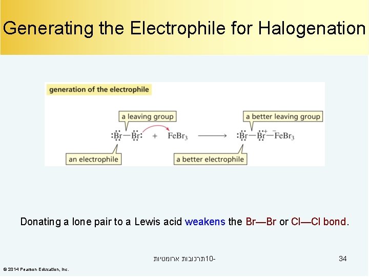 Generating the Electrophile for Halogenation Donating a lone pair to a Lewis acid weakens
