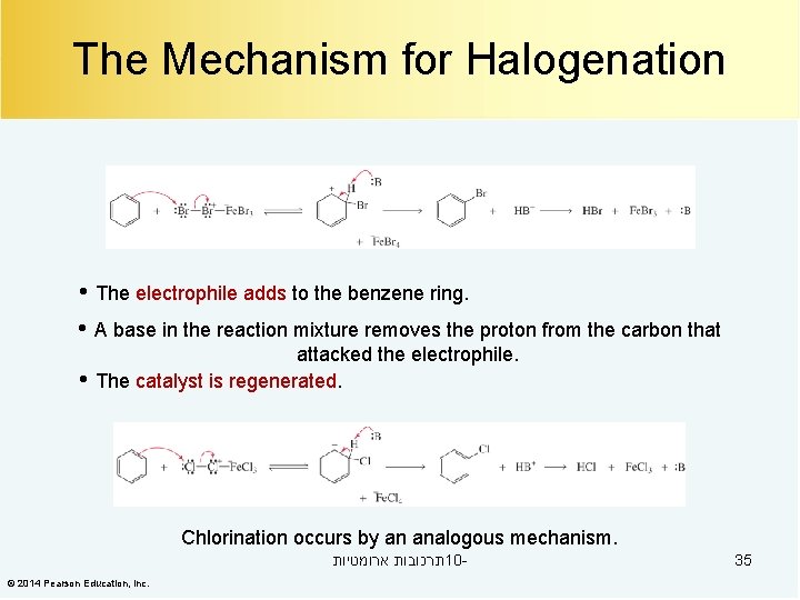 The Mechanism for Halogenation • The electrophile adds to the benzene ring. • A