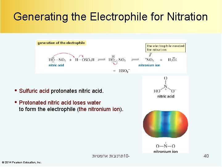 Generating the Electrophile for Nitration • Sulfuric acid protonates nitric acid. • Protonated nitric