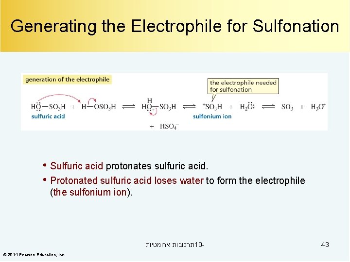 Generating the Electrophile for Sulfonation • Sulfuric acid protonates sulfuric acid. • Protonated sulfuric
