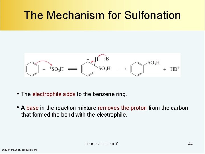 The Mechanism for Sulfonation • The electrophile adds to the benzene ring. • A