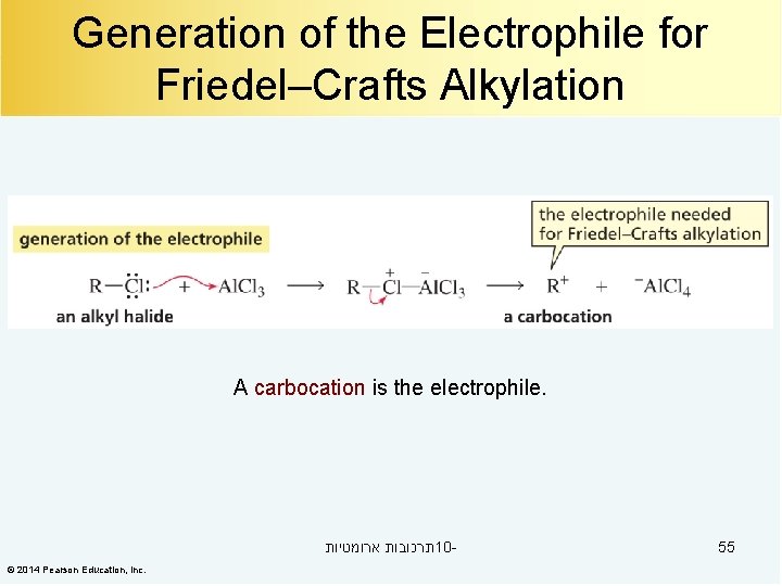 Generation of the Electrophile for Friedel–Crafts Alkylation A carbocation is the electrophile. תרכובות ארומטיות